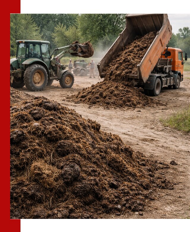 Доставка навоза самосвалами в Нововоронеже для сельхозпотребностей