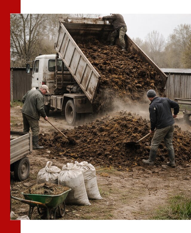 Доставка коровьего навоза самосвалом в Нововоронеже
